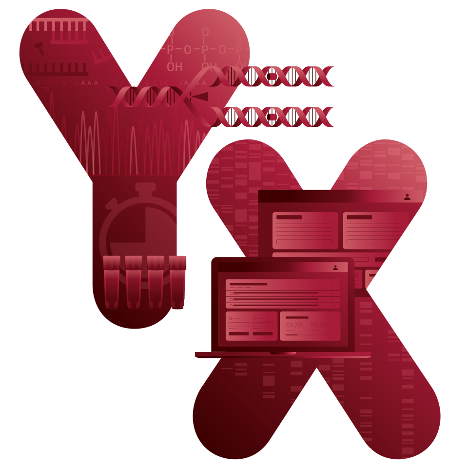 YX Illustration